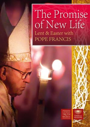 Cover of the book The Promise of New Life by Sr Mary David Totah, OSB