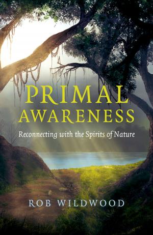 bigCover of the book Primal Awareness by 