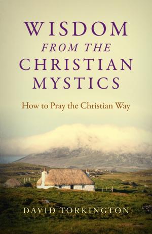 Cover of the book Wisdom from the Christian Mystics: How to Pray the Christian Way by Alex Niven