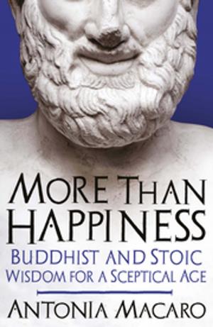 Book cover of More Than Happiness