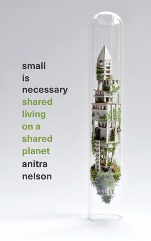 Cover of the book Small is Necessary by John Cooley