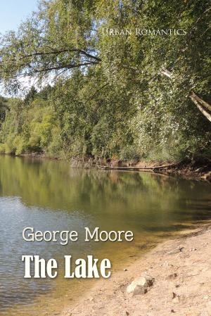 bigCover of the book The Lake by 