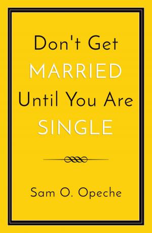 Cover of the book Don't Get Married Until You Are Single by Mary O’Meara