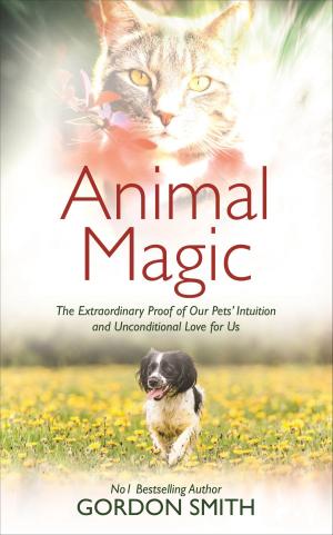 Cover of the book Animal Magic by Joan Z. Borysenko, Ph.D.