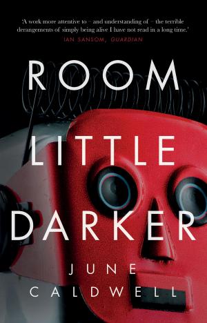Cover of the book Room Little Darker by Jenny Valentish
