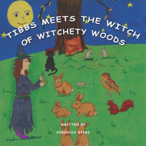 Cover of the book Tibbs Meets the Witch of Witchety Woods by Catherine Green