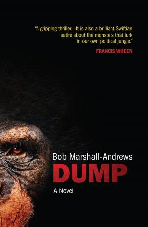 Book cover of Dump