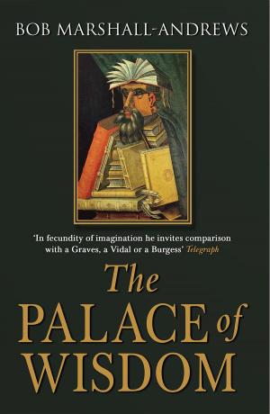 Book cover of The Palace of Wisdom