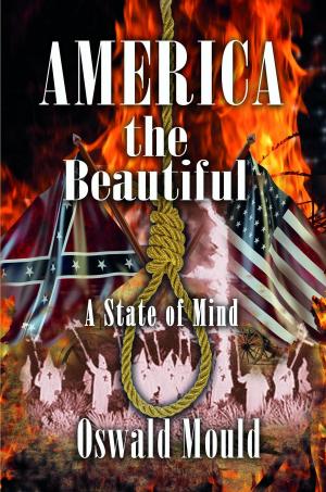 Cover of the book America the Beautiful by Talita Ferreira