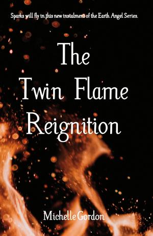 Book cover of The Twin Flame Reignition