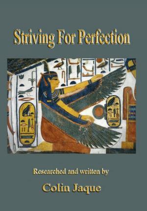 Cover of the book Striving For Perfection by Suhaib Sirajudin
