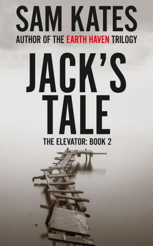 Cover of the book Jack's Tale by Lilith Regan