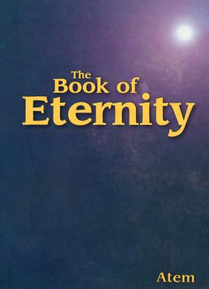 Cover of the book The Book of Eternity by Temple Kehoe