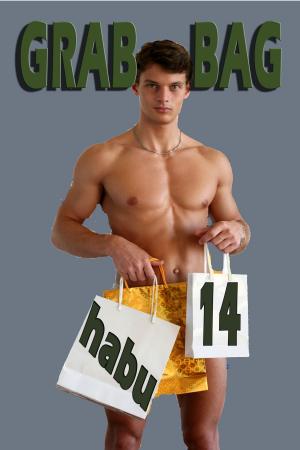 Cover of the book Grab Bag 14 by Nataleigh Sharp