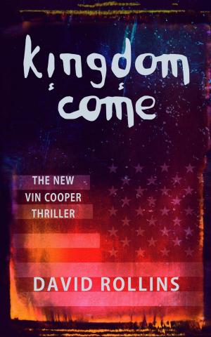 Book cover of Kingdom Come