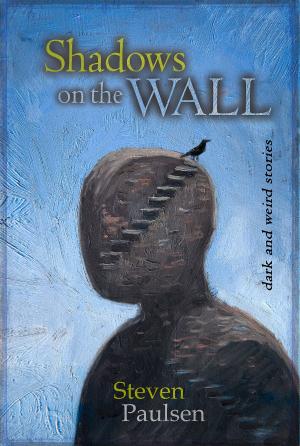 Cover of the book Shadows on the Wall by Paula Boer