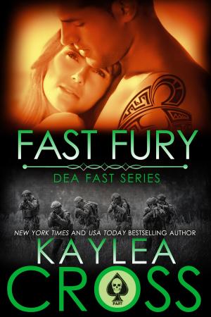 Book cover of Fast Fury