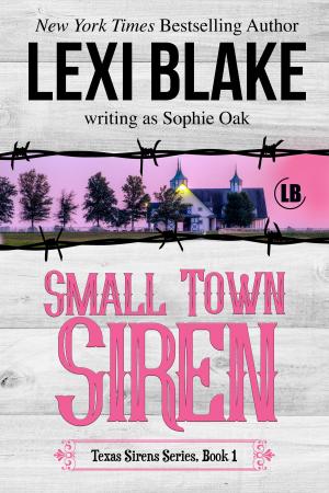 Cover of the book Small Town Siren by Lexi Blake