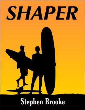 Cover of the book Shaper by Stephen Brooke