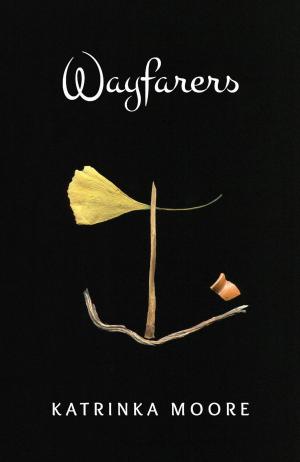 Cover of the book Wayfarers by Allen Callaci