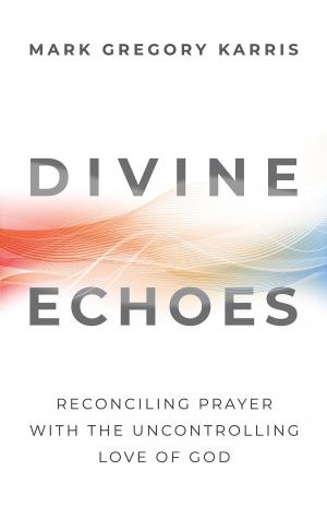 Cover of the book Divine Echoes by Keith Giles
