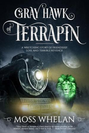 Cover of the book Gray Hawk of Terrapin by Jude Gwynaire