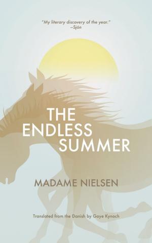 Cover of the book The Endless Summer by Olga Sedakova