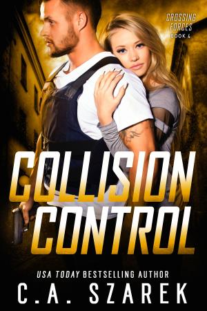 Cover of the book Collision Control by Prescott Lane