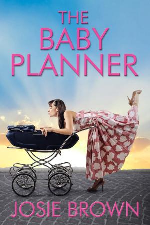 Book cover of The Baby Planner