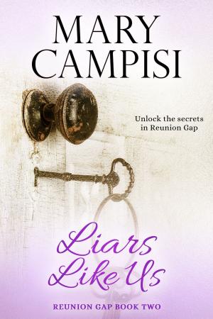 Book cover of Liars Like Us