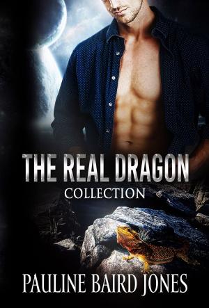 Cover of the book The Real Dragon and Other Short Stories by Bard Bloom