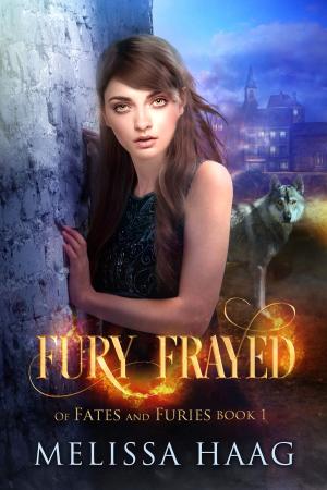 Cover of the book Fury Frayed by Steve Aranguren