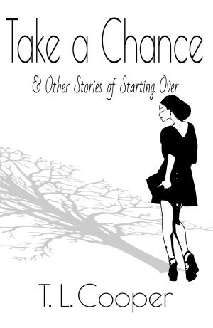Cover of Take a Chance & Other Stories of Starting Over
