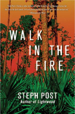 Cover of the book Walk In The Fire by Casey Doran