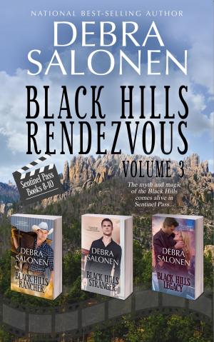 Cover of the book Black Hills Rendezvous III by Debra Salonen