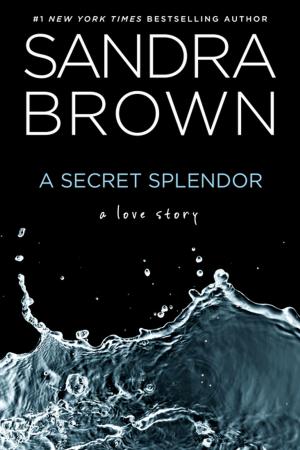 Cover of the book A Secret Splendor by Anastasia Amor