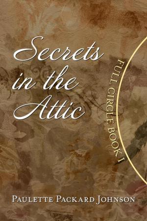 Cover of the book Secrets in the Attic by Spatch Logan