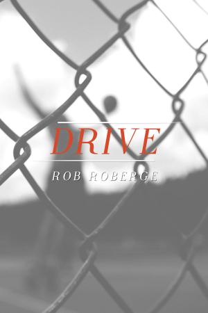Cover of the book Drive by Lindsey Drager