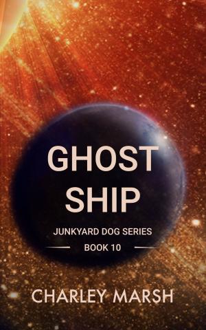 Cover of the book Ghost Ship by Jolene Loraine
