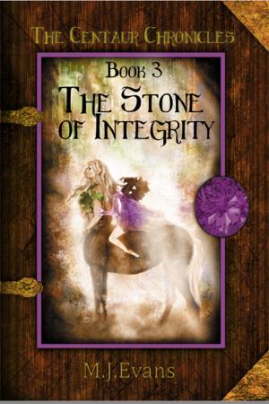 Book cover of The Stone of Integrity