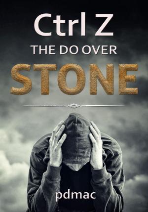 Book cover of Ctrl Z The Do Over Stone