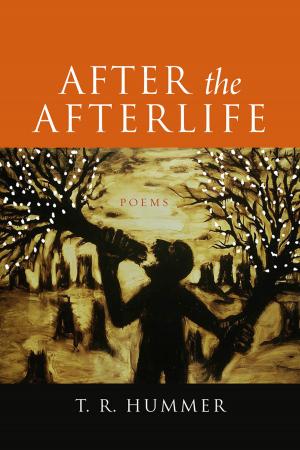 Book cover of After the Afterlife