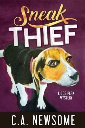 Cover of the book Sneak Thief by Nancy Jill Thames