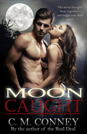 Cover of the book Moon Caught by Jeremy Flagg