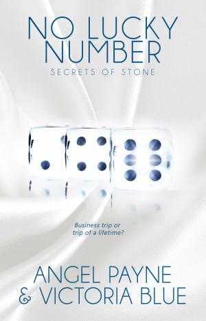 Book cover of No Lucky Number