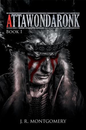 Cover of the book Attawondaronk by Nikki Goodwin