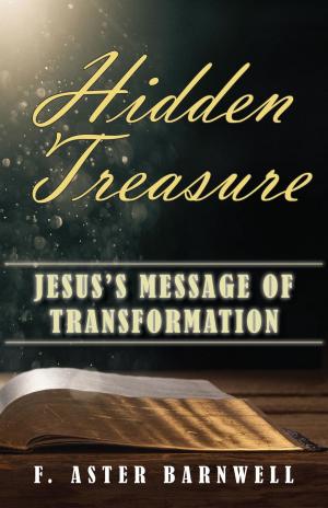 Cover of the book HIDDEN TREASURE by J. K. Pascall