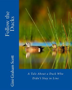 Cover of Follow the Ducks