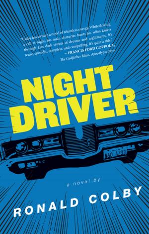 Cover of the book Night Driver by Delfin Vigil