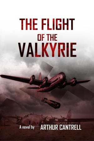 Cover of the book The Flight of the Valkyrie by Mary M. McNaughton
